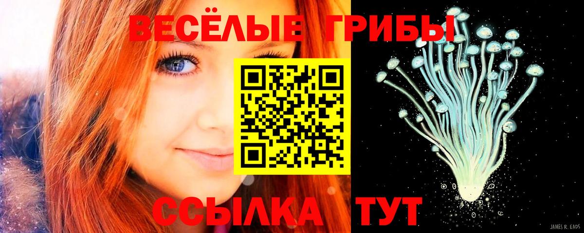 Удомля  Псилоцибиновые грибы MAGIC MUSHROOMS  Вход с VPN 